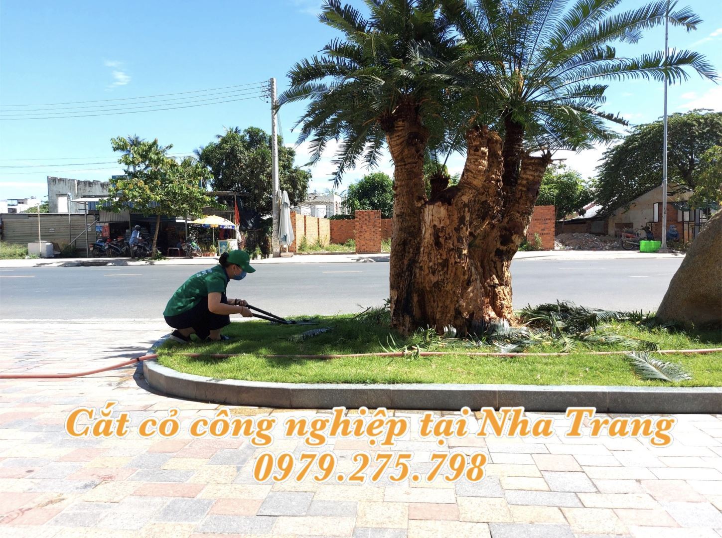 Chăm sóc cảnh quan